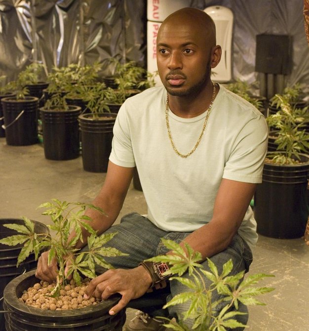 Рэперы, снимавшиеся в кино