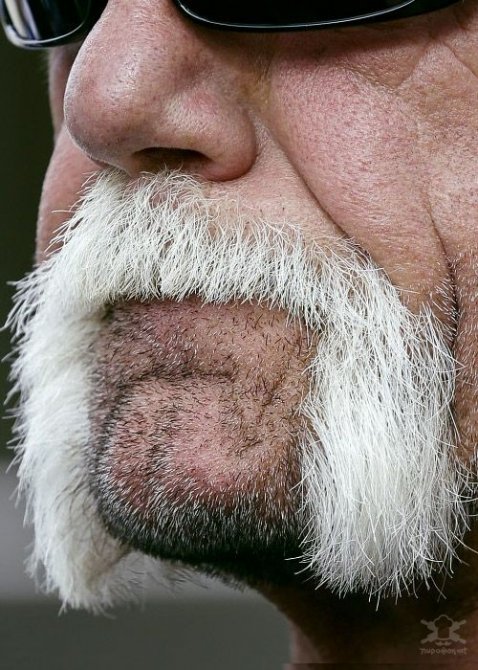 Звезды очень крупным планом