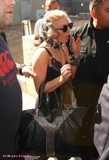 Lady Gaga (10 фото)