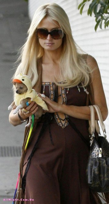 Пэрис Хилтон с собачками