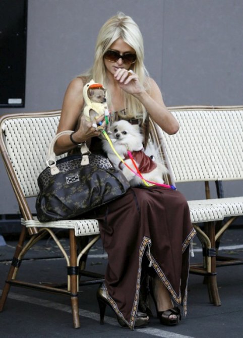 Пэрис Хилтон с собачками