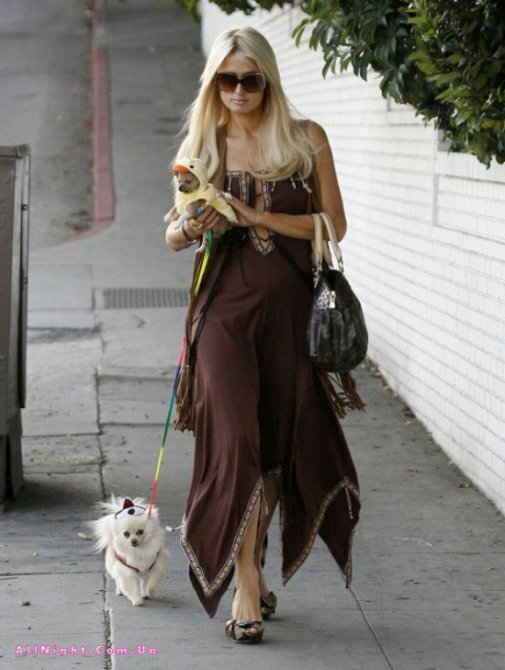 Пэрис Хилтон с собачками