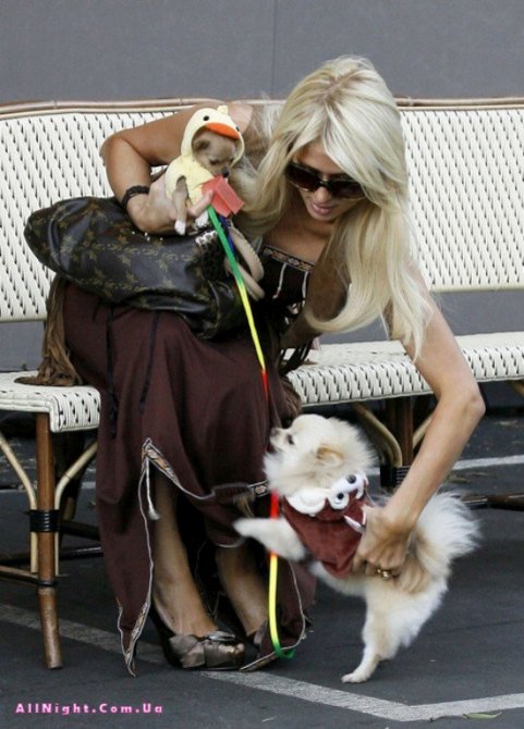 Пэрис Хилтон с собачками