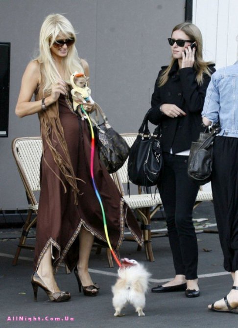 Пэрис Хилтон с собачками