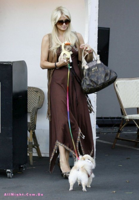 Пэрис Хилтон с собачками