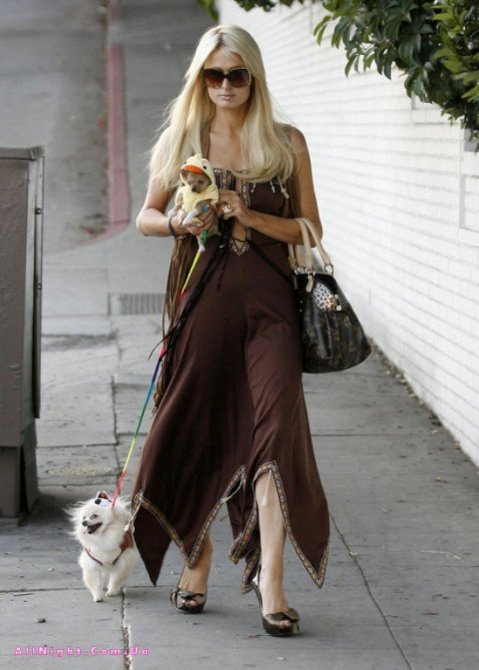 Пэрис Хилтон с собачками