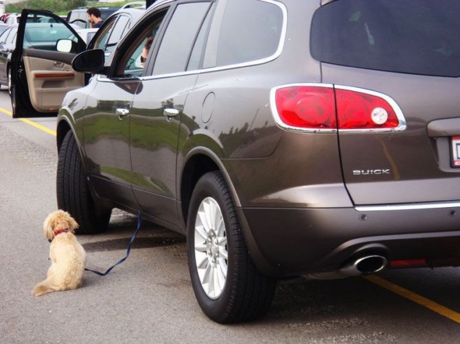 Девушки за рулем