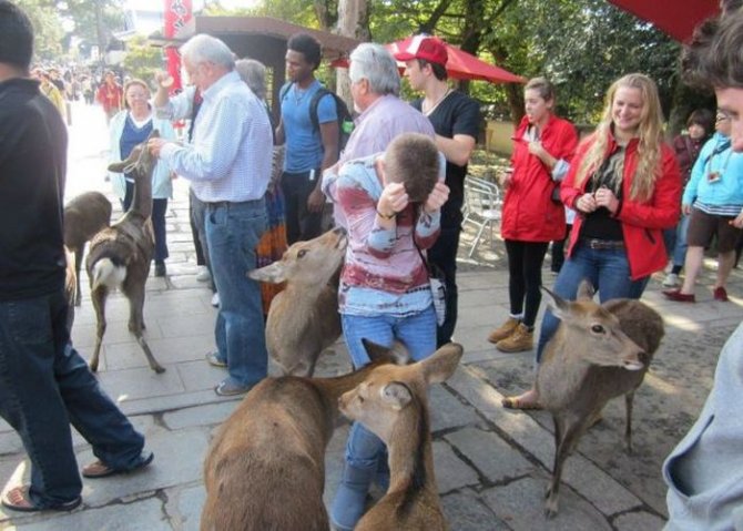 Не все девушки умеют находить общий язык с животными