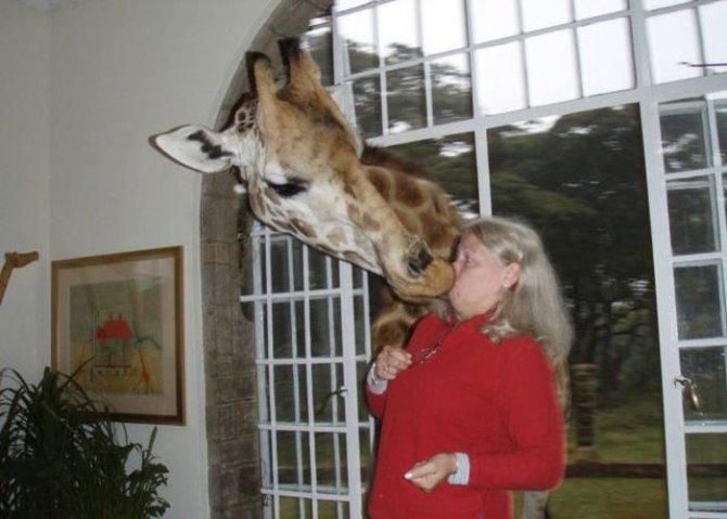 Не все девушки умеют находить общий язык с животными