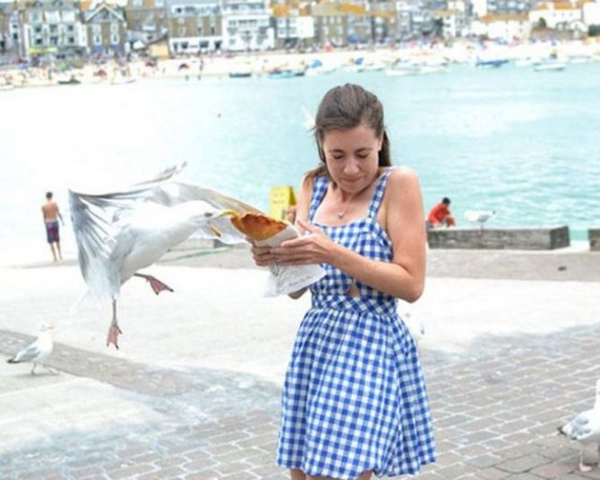 Не все девушки умеют находить общий язык с животными