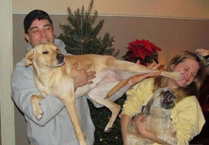 Не все девушки умеют находить общий язык с животными