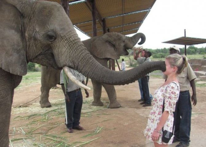 Не все девушки умеют находить общий язык с животными