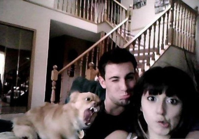 Не все девушки умеют находить общий язык с животными