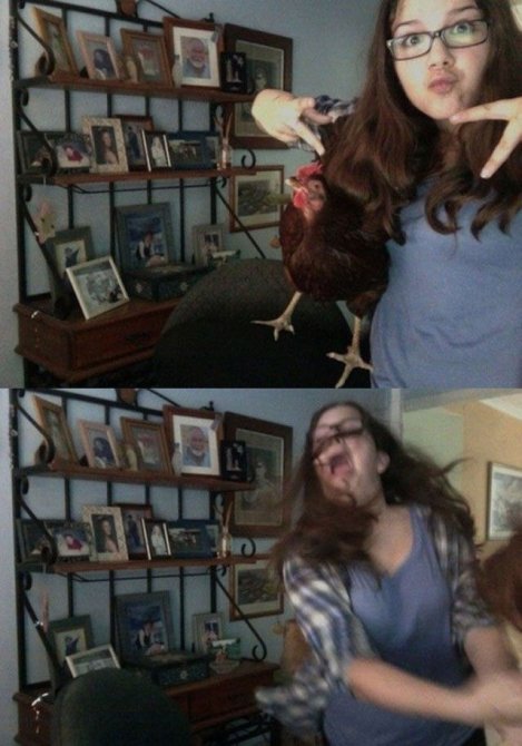 Не все девушки умеют находить общий язык с животными