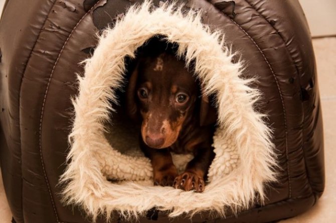 Жизнь стриптизерши в свободное от работы время