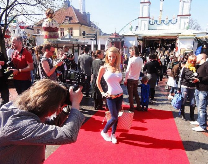 Силиконовая звезда Facebook