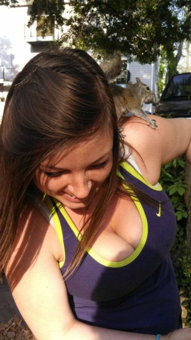 Красивые девушки с большим бюстом