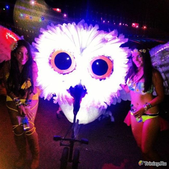 Сексуальные красотки с фестиваля электронной музыки в Лас-Вегасе