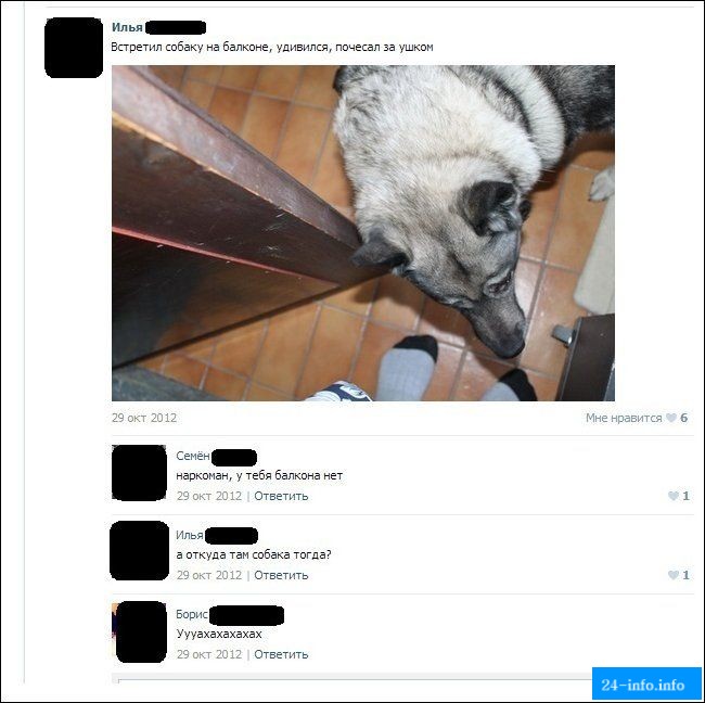 Смешные комментарии из социальных сетей. Часть 4 (29 скриншотов)
