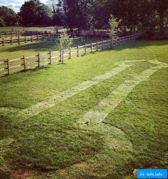 Пошлые картинки для взрослых. Часть 5