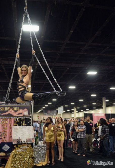 Фестиваль порноиндустрии "Exxxotica 2013"