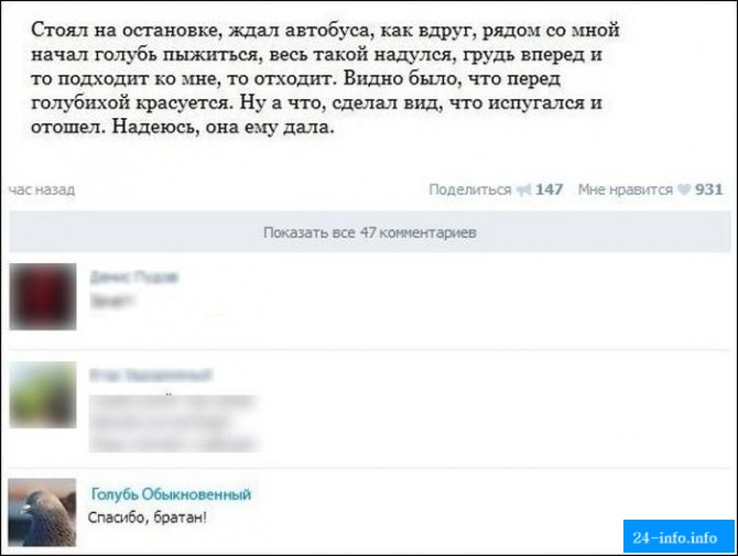 Смешные комментарии из социальных сетей. Часть 4 (29 скриншотов)