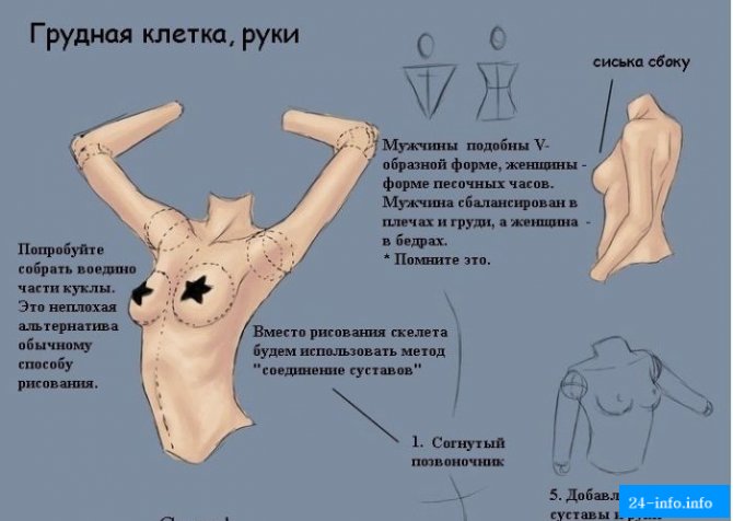 Учимся рисовать пикантные подробности женского тела (9 рисунков)