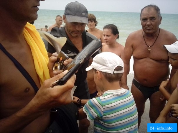 Крымские курортники довели до смерти беременную акулу (3 фото) Крымские курортники довели до смерти беременную акулу (3 фото)