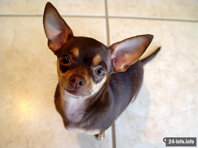 Он одевается лучше тебя =)