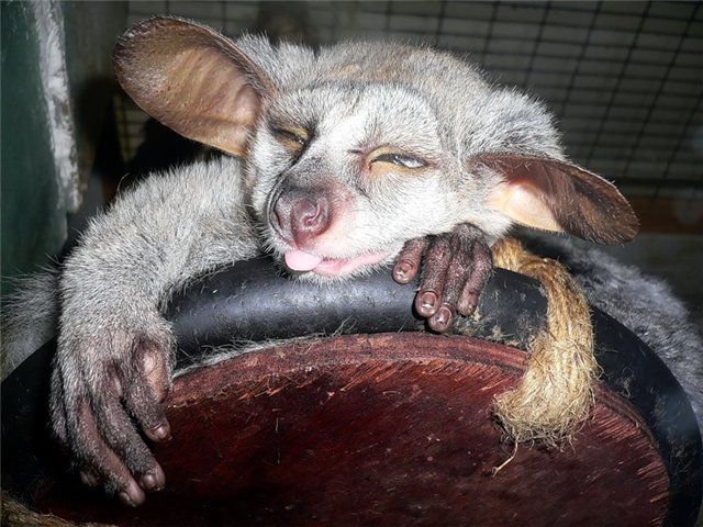 Подборка фотоприколов (Часть 4)