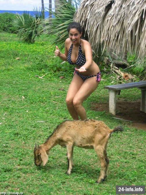 Девушки в бикини и летней одежде