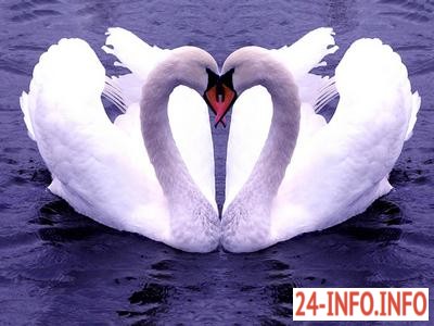 Самые интересные факты о браке