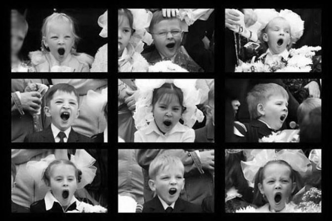 Приколы по поводу 1-го сентября