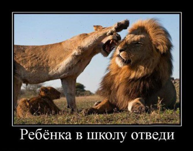 Приколы по поводу 1-го сентября