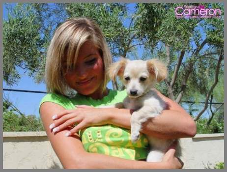 Сладенькая киска на улице