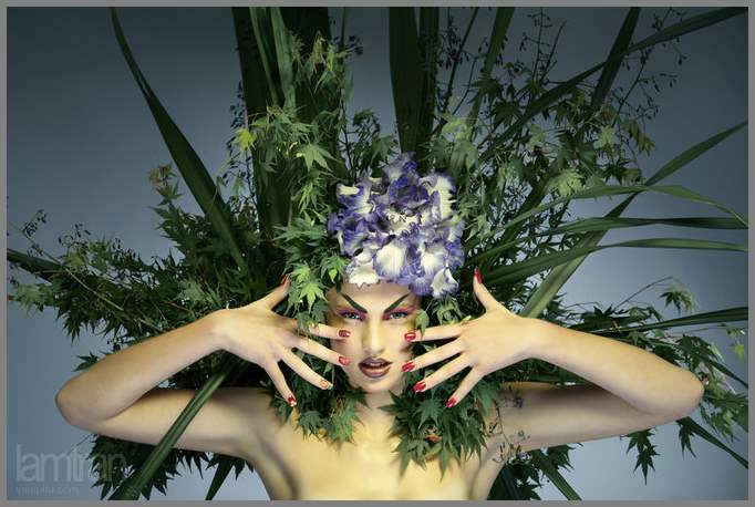 Фотограф Lam Tran