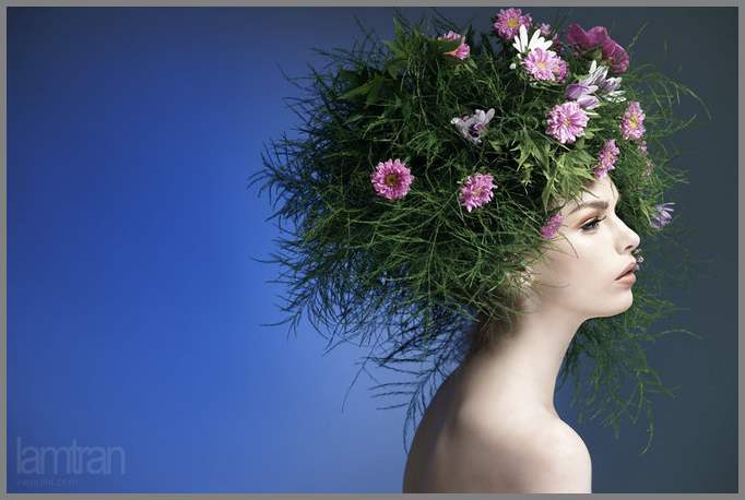 Фотограф Lam Tran