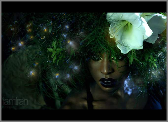 Фотограф Lam Tran