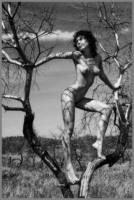 Фотограф Ловец Снов