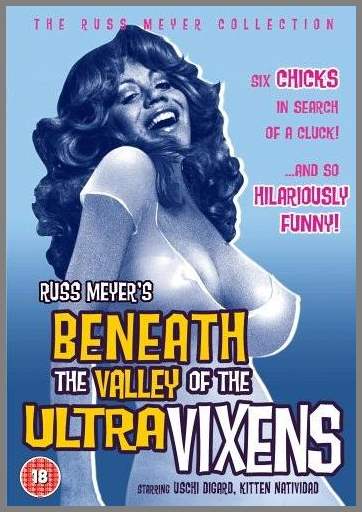 Долина ультрамегер / Beneath the Valley of the Ultra-Vixens (1979) DVDRip