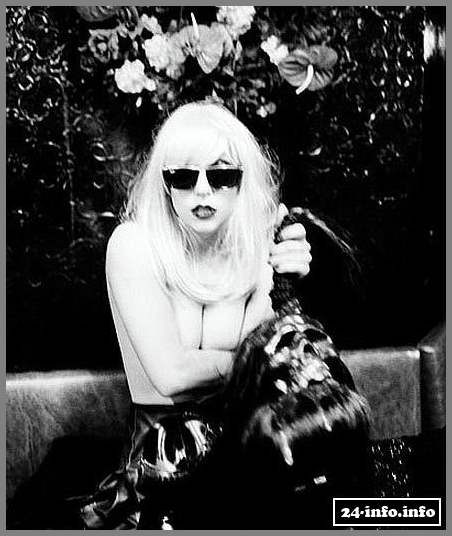 Голая звезда Леди Гага