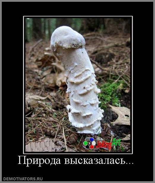 ЭРО-ДЕМОТИВАТОРЫ  