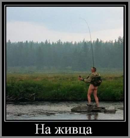 ЭРО-ДЕМОТИВАТОРЫ  