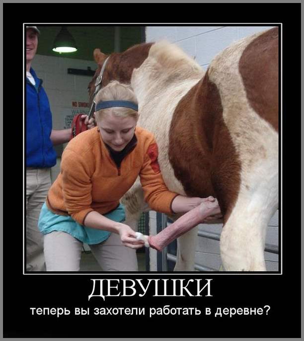 ЭРО-ДЕМОТИВАТОРЫ  