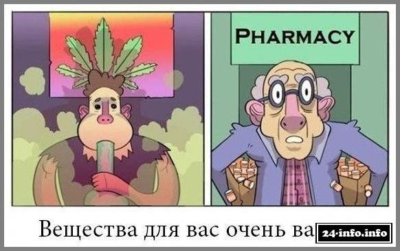 Молодежь и старики не такие уж и разные