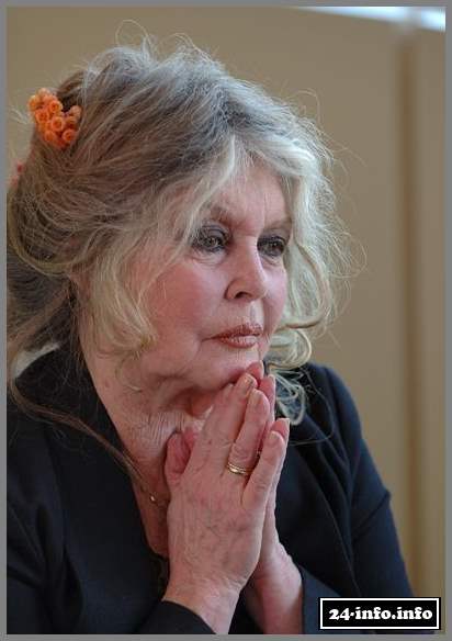 Бриджит Бардо тогда и сейчас (16 фото)