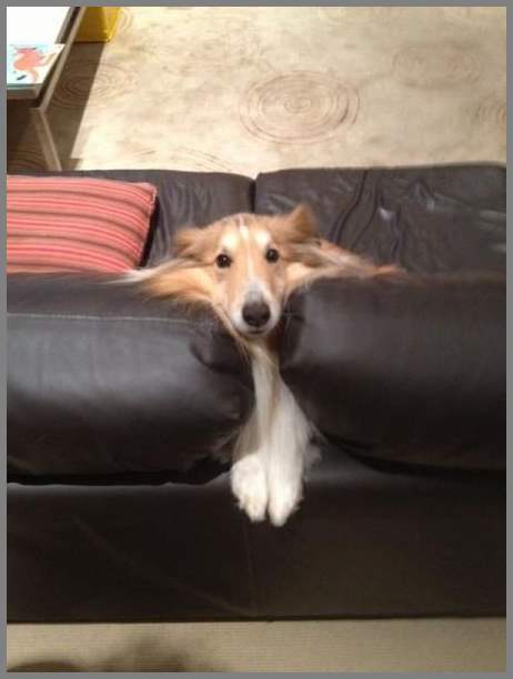 Прикольные картинки. Выпуск 1374