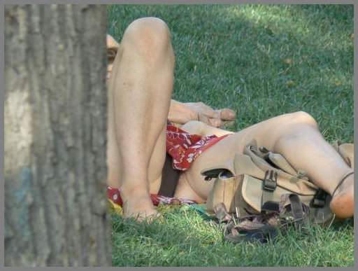 Засветы под юбки дамам