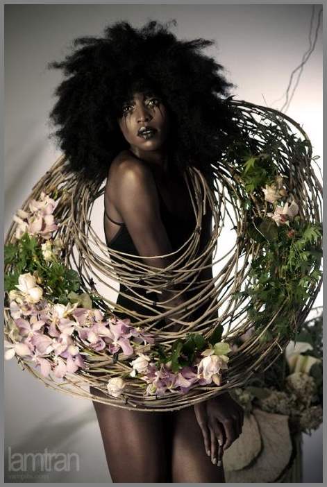 Фотограф Lam Tran