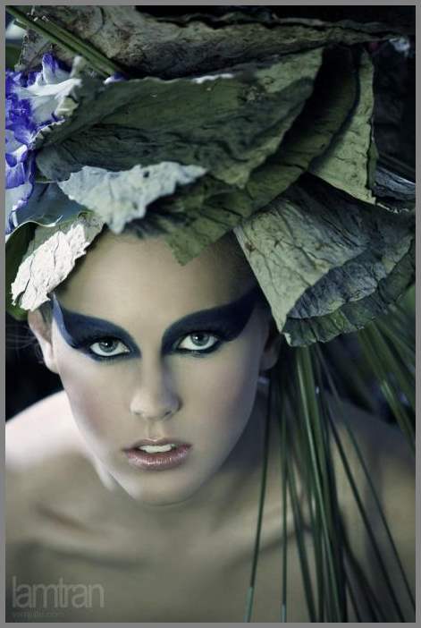 Фотограф Lam Tran